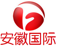 Anhui International