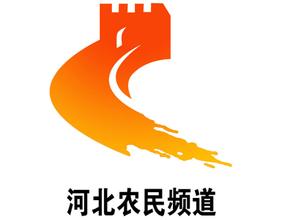 Hebei farmers