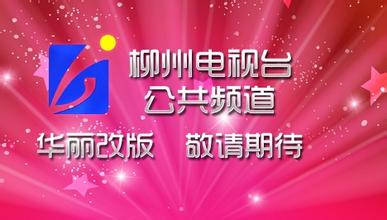 Liuzhou Public
