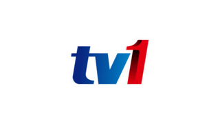 TV1電視