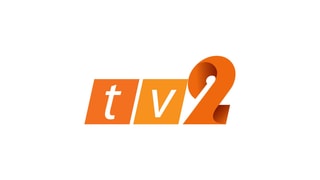 TV2電視