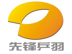 Pioneer Table Tennis and Badminton